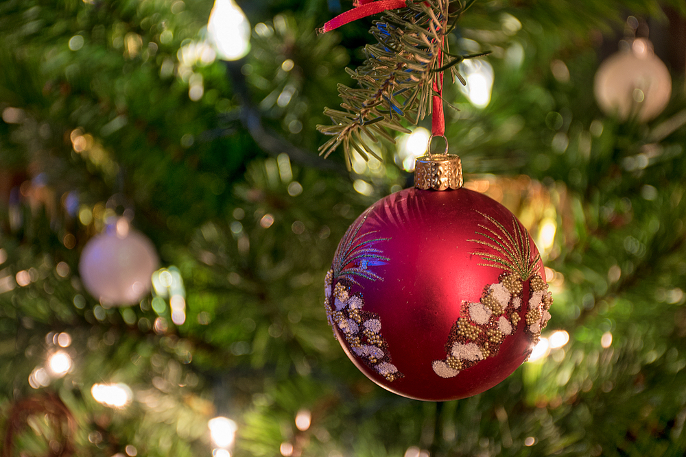 ornament on a christmas tree